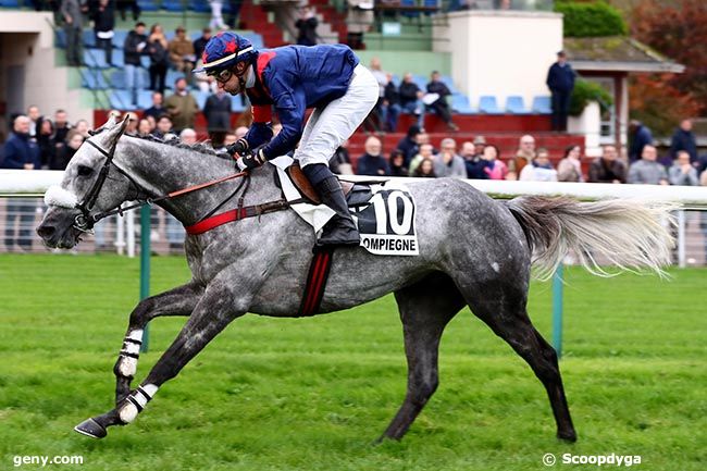 02/11/2024 - Compiègne - Grand Steeple-Chase de Compiègne : Arrivée