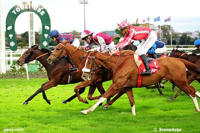 11/11/2024 - Toulouse - Prix de la Depêche du Midi : Arrivée