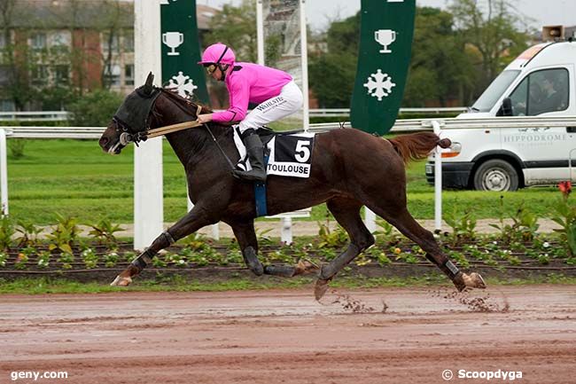 20/11/2024 - Toulouse - Prix de la Depêche du Midi : Arrivée