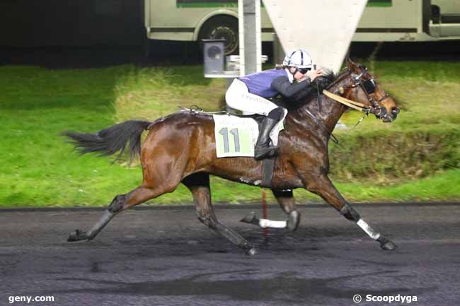 06/01/2025 - Vincennes - Prix Christelle Zimmer : Ankunft