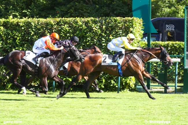 24/06/2025 - Chantilly - Prix de la Forêt de Chantilly : Arrivée