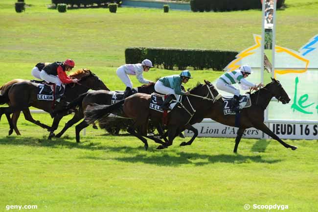 16/09/2010 - Le Lion-d'Angers - Prix Point Bleu : Result