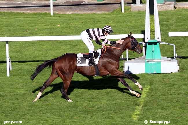 11/10/2010 - Saint-Cloud - Prix Calahorra : Arrivée