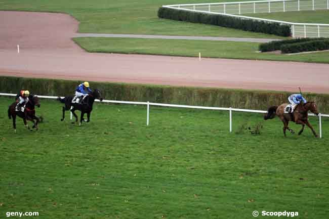 17/11/2010 - Enghien - Prix des Coudraies : Result