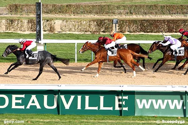 17/12/2010 - Deauville - Prix de la Plage : Result