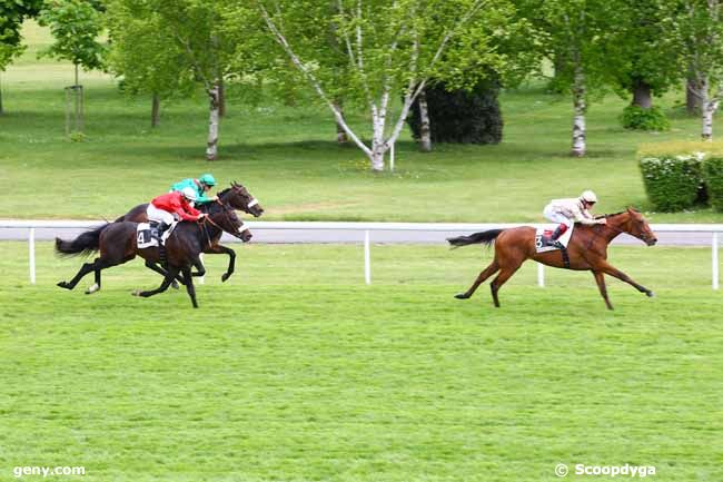 13/05/2013 - Maisons-Laffitte - Prix Comrade : Arrivée