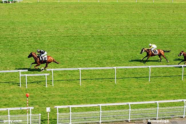 05/06/2013 - Maisons-Laffitte - Prix de Vauréal : Arrivée