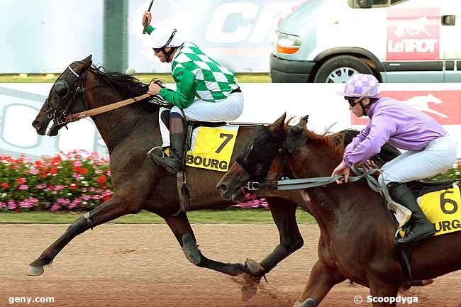 02/08/2013 - Cabourg - Prix des Hélianthes : Result