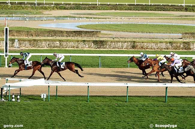 04/01/2014 - Deauville - Prix des Commeaux : Arrivée