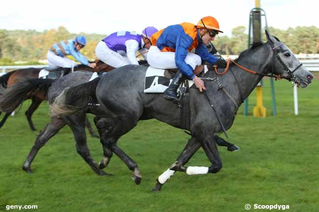 06/11/2014 - Fontainebleau - Prix du Comte Antoine de Gontaut-Biron : Arrivée