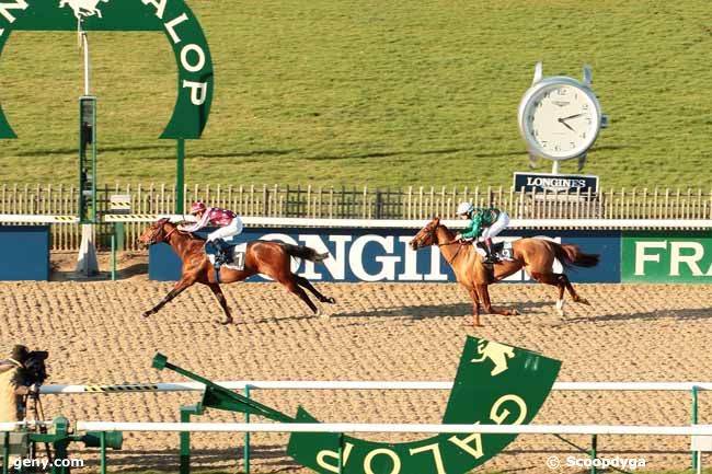 19/02/2016 - Chantilly - Prix Delmonte : Result