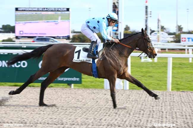 01/02/2017 - Cagnes-sur-Mer - Prix Adolphe Rossio : Arrivée