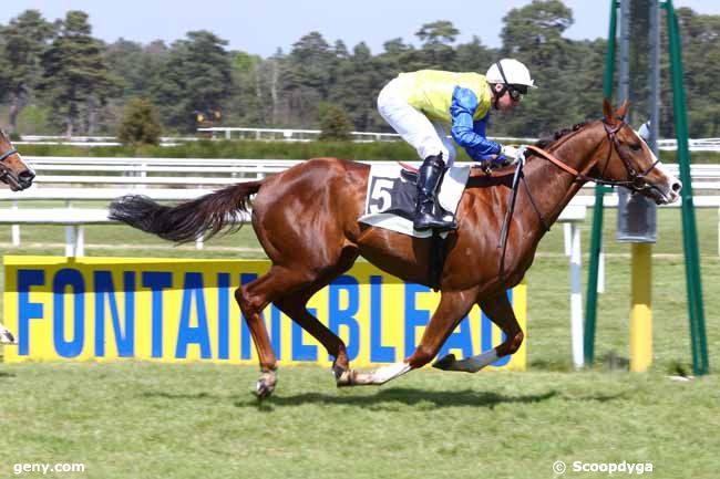 28/04/2017 - Fontainebleau - Prix des Tétards : Arrivée