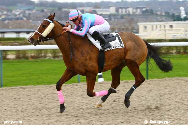 05/12/2017 - Deauville - Prix de la Houle : Arrivée