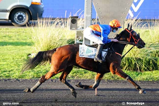 12/11/2020 - Vincennes - Prix Olry-Roederer : Arrivée