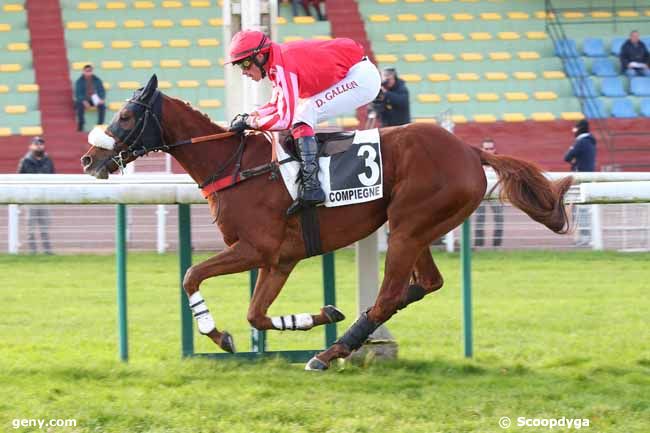 30/11/2023 - Compiègne - Prix Roger de Minvielle : Arrivée