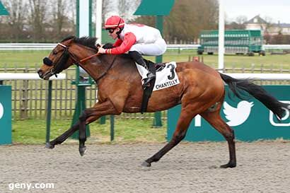 30/12/2023 - Chantilly - Prix de la Garenne de Charlemont : Arrivée