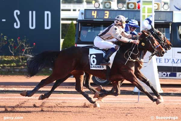 11/01/2024 - Cagnes-sur-Mer - Prix Hulk de Godisson : Arrivée