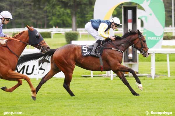 08/05/2024 - Lyon-Parilly - Prix les Samedis à Parilly - Prix du Parc de la Tête d'Or : Arrivée