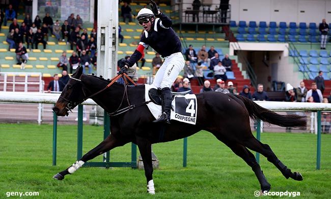 02/11/2024 - Compiègne - Prix Colonel d'Englesqueville : Arrivée