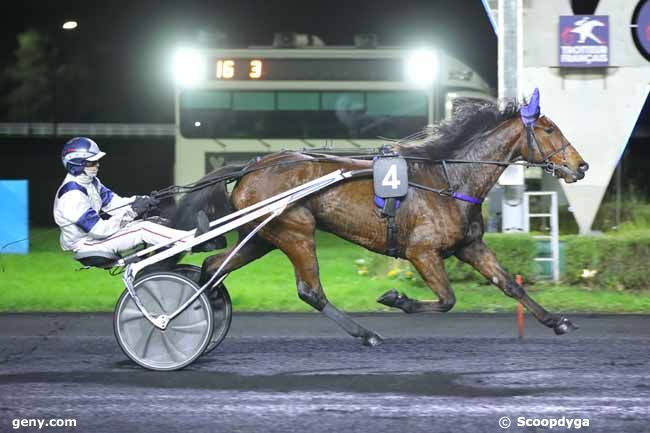 06/12/2024 - Vincennes - Prix Phobos : Arrivée