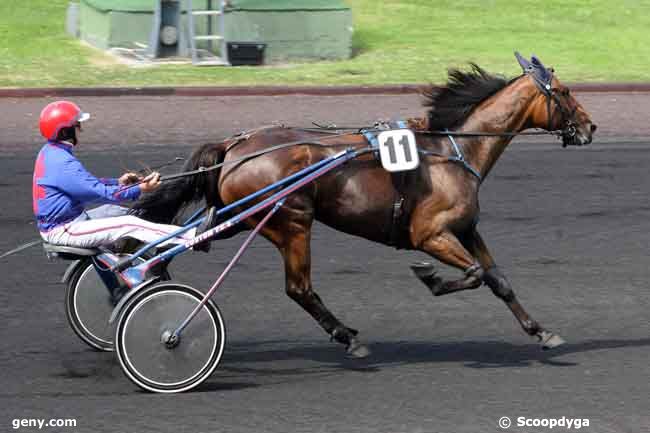 17/08/2009 - Vincennes - Prix de l'Allier : Ankunft