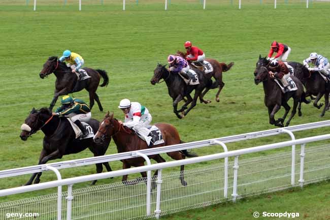 01/11/2011 - Maisons-Laffitte - Prix du Château de Maisons-Laffitte : Ankunft