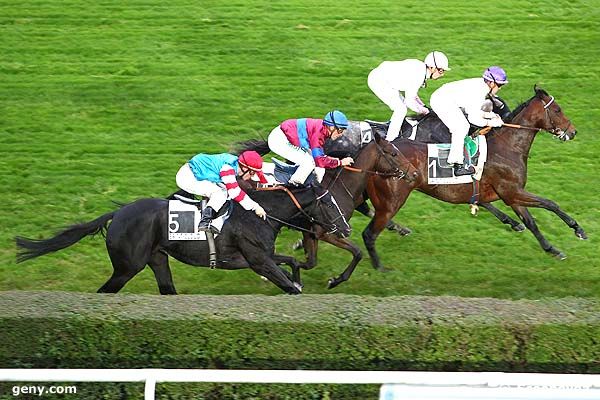 03/11/2011 - Saint-Cloud - Prix de Chemoitou : Ankunft