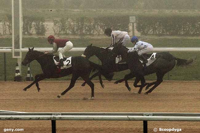 03/12/2013 - Deauville - Prix Princeline : Arrivée