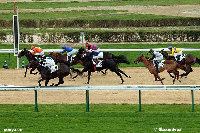 04/12/2013 - Deauville - Prix de Prail : Ankunft