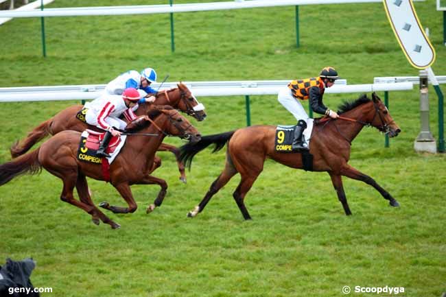 17/03/2014 - Compiègne - Prix d'Humières : Ankunft