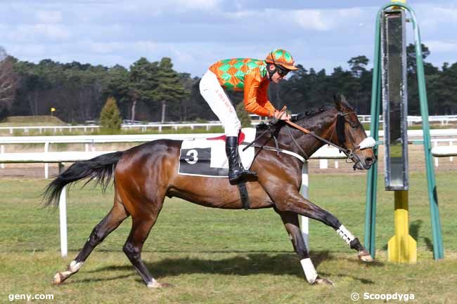 27/02/2015 - Fontainebleau - Prix des Héronnières : Arrivée