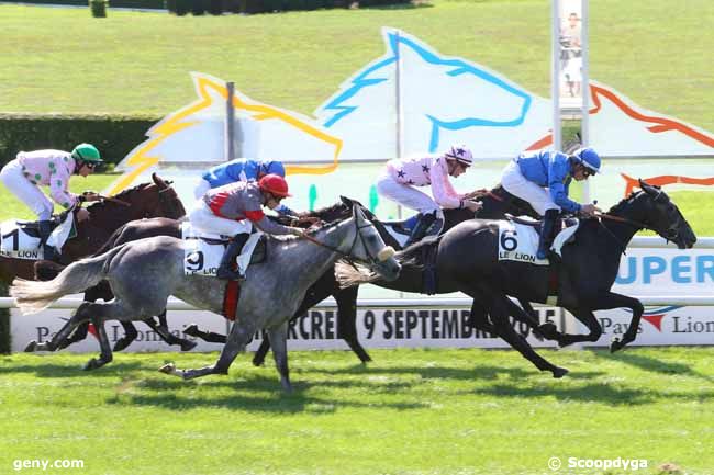 09/09/2015 - Le Lion-d'Angers - Prix Point Bleu : Arrivée