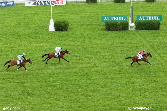 14/05/2016 - Auteuil - Prix Saint-Sauveur : Arrivée