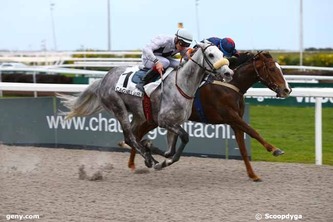 01/02/2017 - Cagnes-sur-Mer - Prix des Hortensias : Arrivée