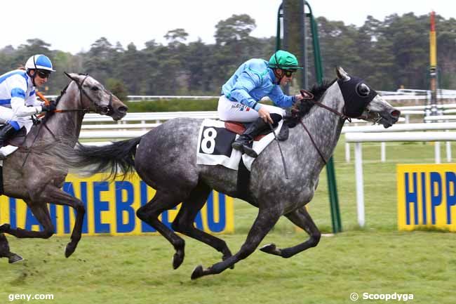 28/04/2017 - Fontainebleau - Prix des Saules : Arrivée