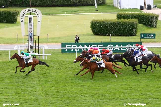 11/05/2017 - Maisons-Laffitte - Prix de Provence : Arrivée