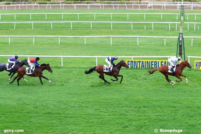 24/09/2019 - Fontainebleau - Prix Guy Thibault : Ankunft