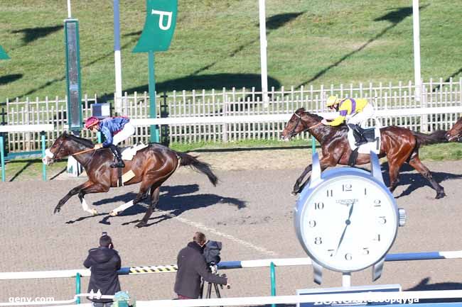 18/11/2020 - Chantilly - Prix du Marcheur : Arrivée