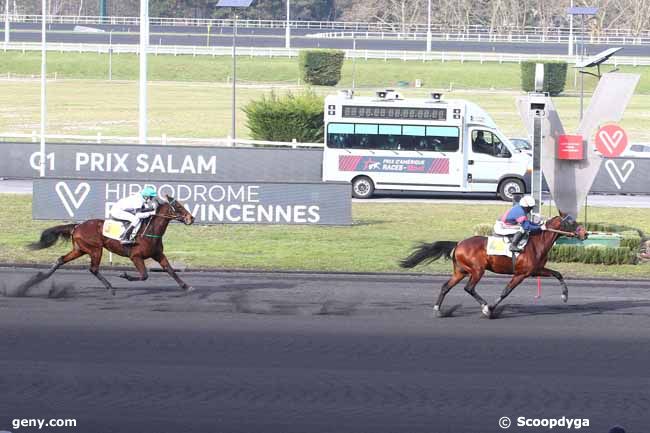 14/02/2021 - Vincennes - Prix Salam : Arrivée