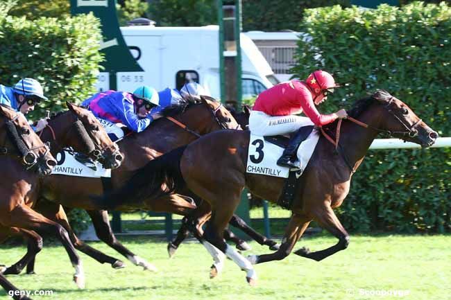 17/09/2022 - Chantilly - Prix du Roi des Manuscrits : Ankunft