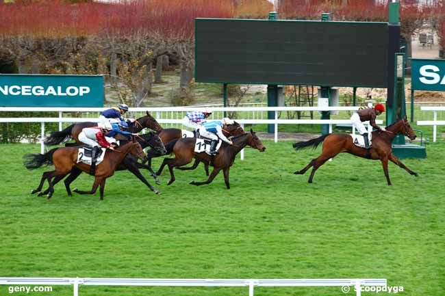 23/03/2023 - Saint-Cloud - Prix Monade : Arrivée