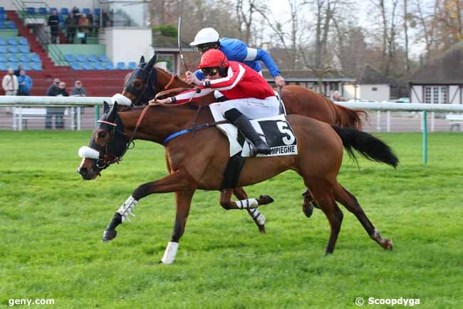 30/11/2023 - Compiègne - Prix Général de Saint-Didier : Arrivée