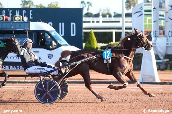 11/01/2024 - Cagnes-sur-Mer - Prix Junior du Rib : Arrivée