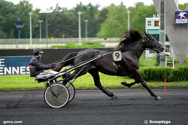 31/05/2024 - Vincennes - Prix Kissa : Arrivée