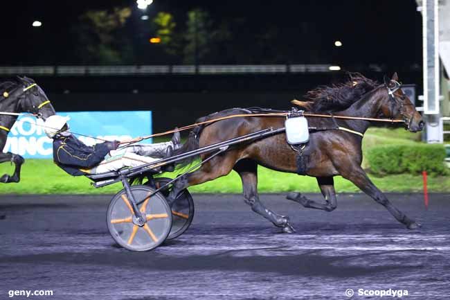 11/10/2024 - Vincennes - Prix Paulina : Arrivée