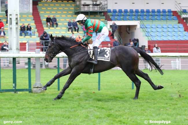 21/10/2024 - Compiègne - Prix de Bourges : Arrivée