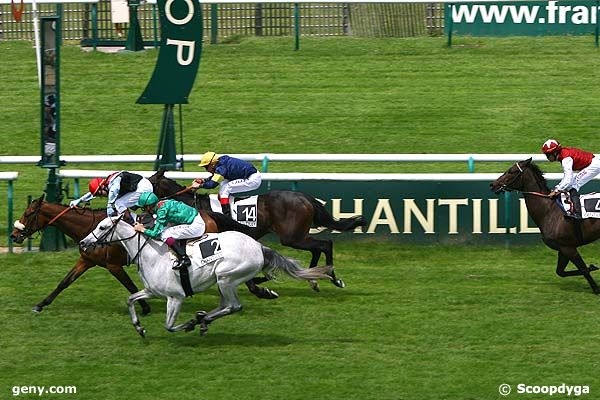 23/05/2008 - Chantilly - Prix du Pavillon de Manse : Arrivée