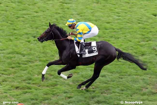 27/07/2010 - Maisons-Laffitte - Prix de Gisors : Arrivée