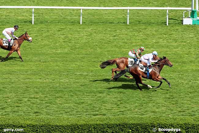 12/04/2011 - Saint-Cloud - Prix Prompt : Result